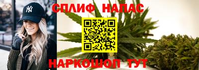 СК Донской